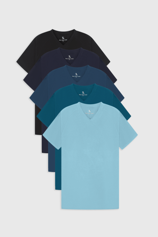 Athletic Fit  All Rounder V-Neck 5-Pack For Cheap